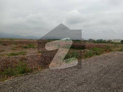 Residential Plot Of 20 Marla Available For sale In Regi Model Town Phase 1