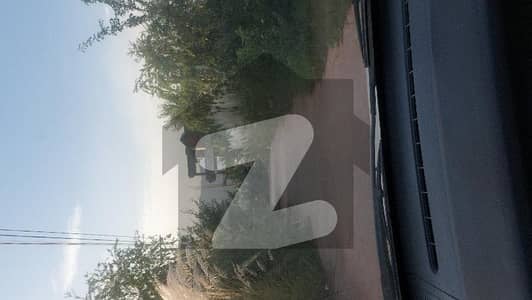 بنی