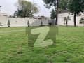 37 