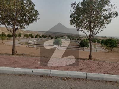 ڈی