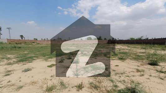 فلورا