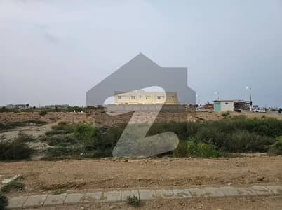 ڈی