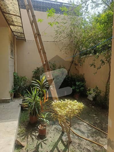 آفیسرز گارڈن کالونی ورسک روڈ,پشاور میں 6 کمروں کا 10 مرلہ مکان 1.0 لاکھ میں کرایہ پر دستیاب ہے۔