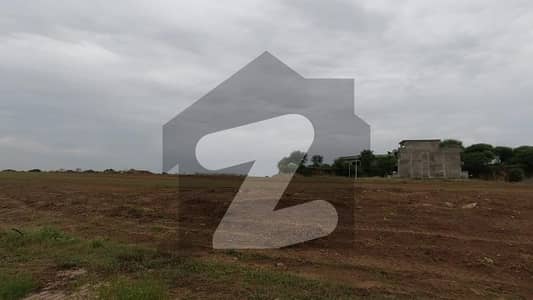 سی