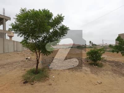 گلستانِِ