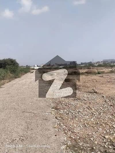 سیکٹر