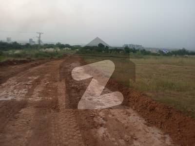 Gulberg