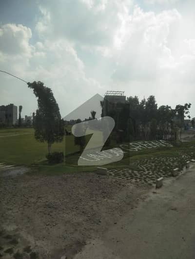 نیول