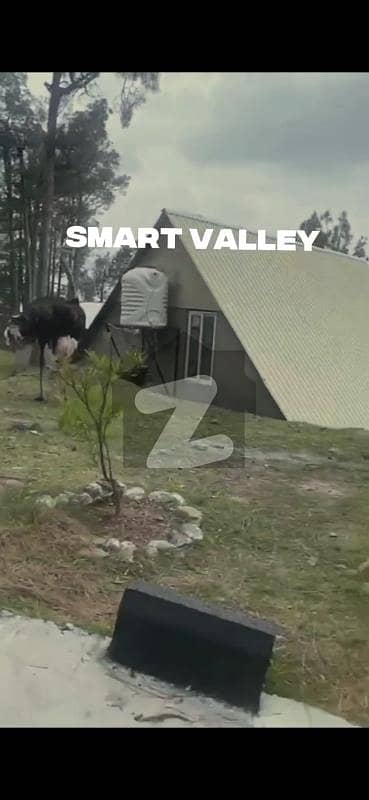 Smart