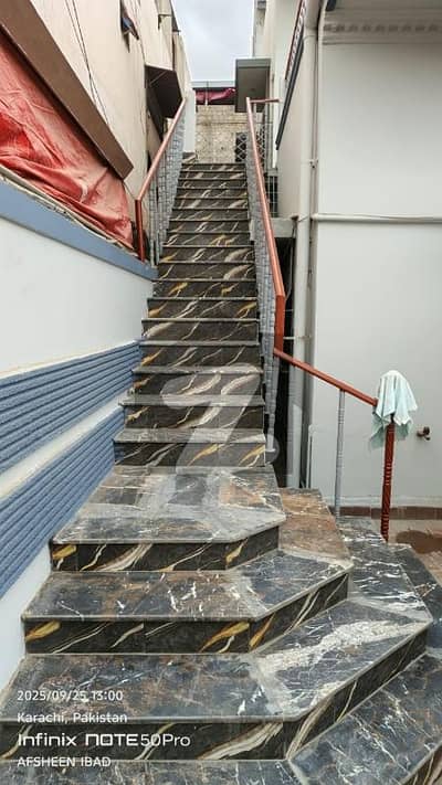 نارتھ