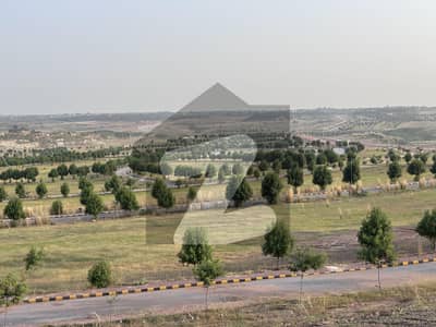 ڈی