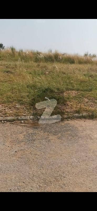 گلبرگ