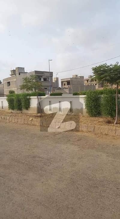 نارتھ