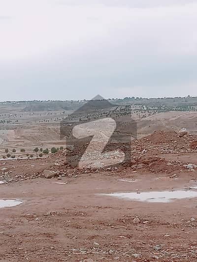 DHA