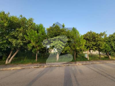 Gulberg