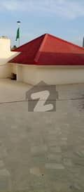 20 