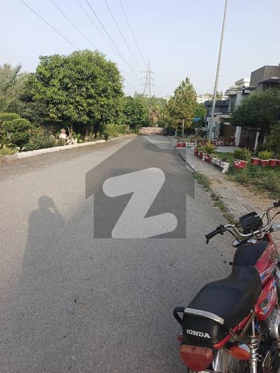 ڈی