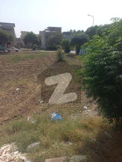 ڈی