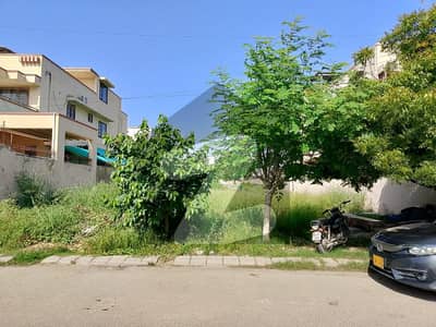 ڈی