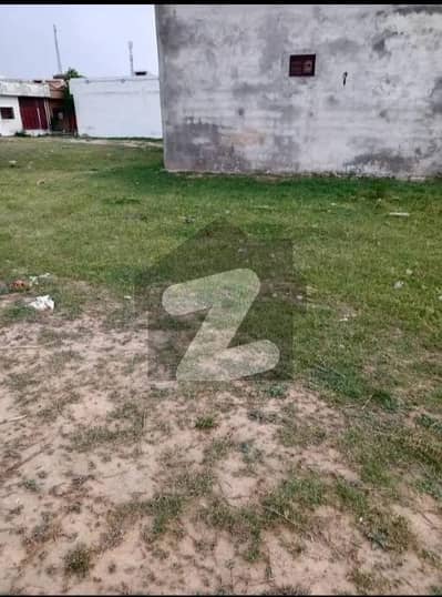 جناح