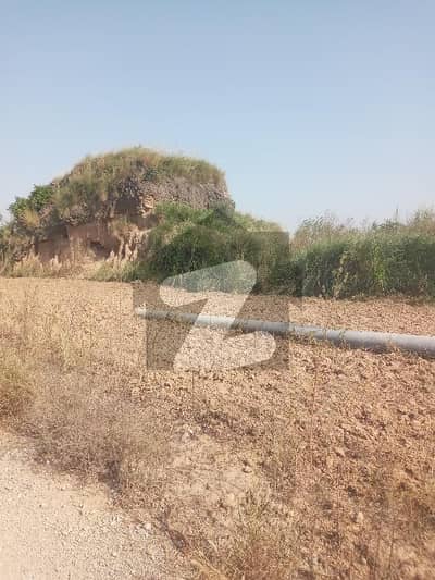 آئی