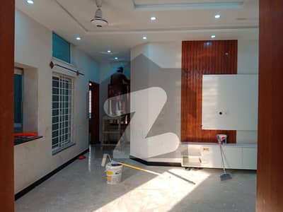 Like A Brend new House available for rent /Good location