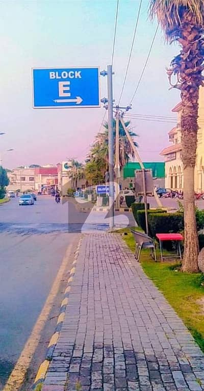 نیو