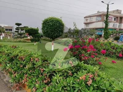 ایم
