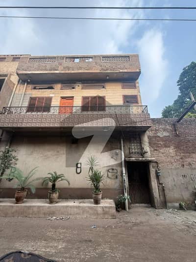 مصری