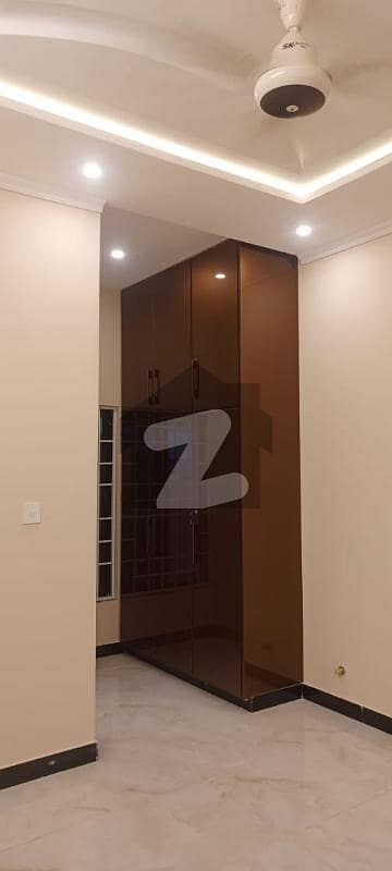 جناح