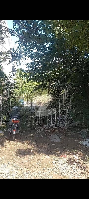 ایف