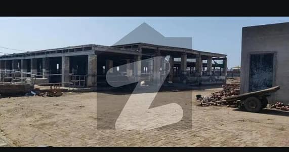 32 Kanal Dairy Farm for Rent - Central Park, Ferozepur Road | 500 Animals Capacity