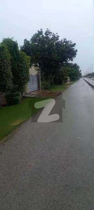 ڈی