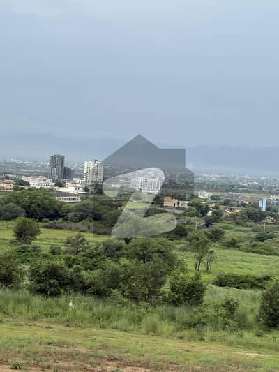 Gulberg