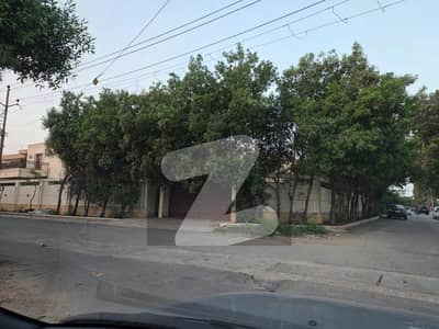 ڈی
