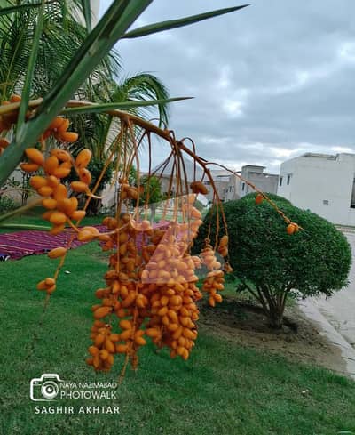 Prime Location 160 Square Yards House In Naya Nazimabad Of Karachi Is Available For sale