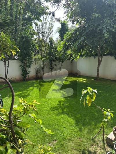 ایف
