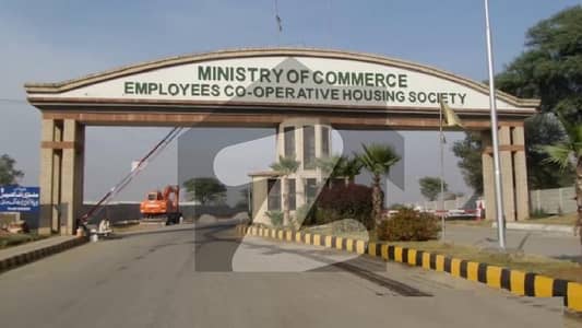 E 19 ministry of commerece