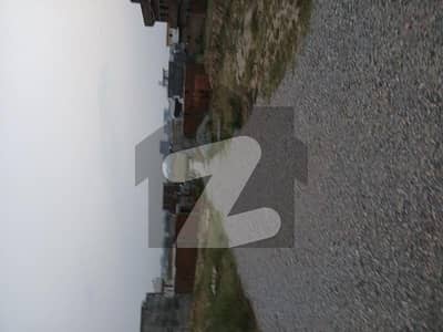 یونیورسٹی