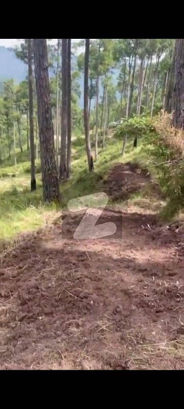 10 Marla Plot In Murree