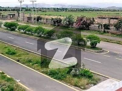 ریگی