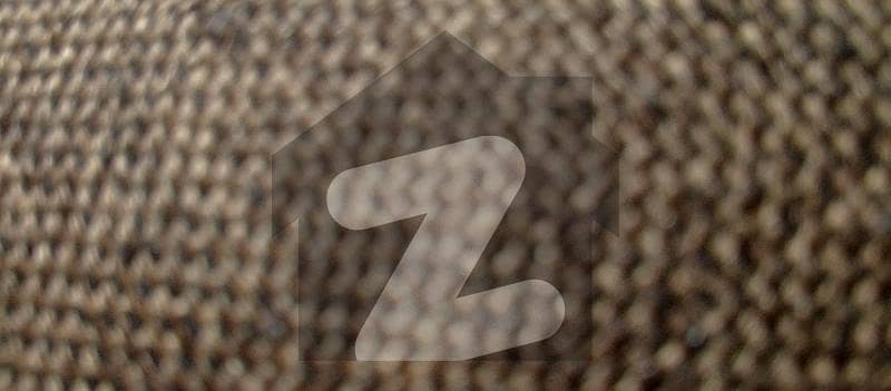 29 