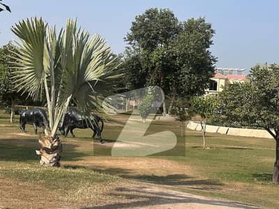 12.5 Marla park Facing Corner Grey House For Sale Buch Executive villas