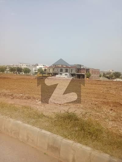 Plot