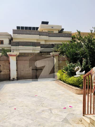 حیات