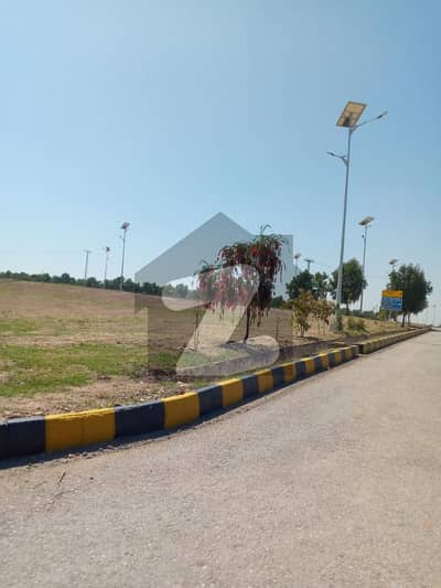 ڈی