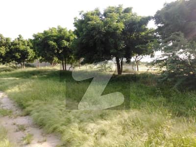 گارڈن