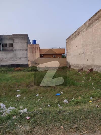 آڈٹ