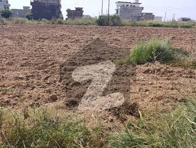 5 Marla Level Plot Near Park Good Location
