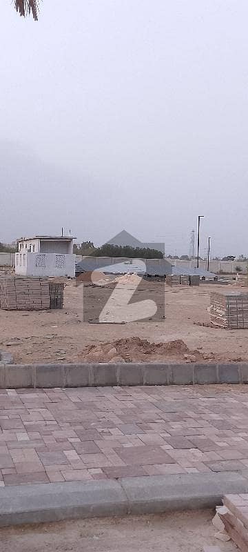 گندھارا